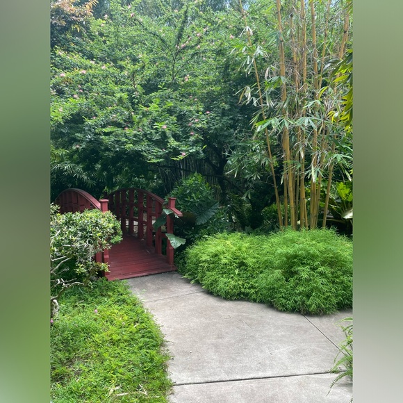 Meet your Posher, Priscilla rosa - Picture 7 of 11